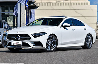 2018款 CLS 300 豪华型
